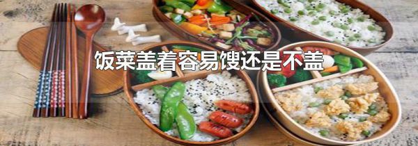 饭菜盖着容易馊还是不盖