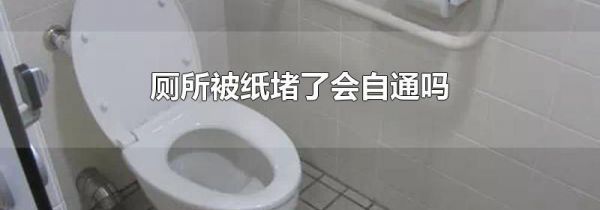 厕所被纸堵了会自通吗