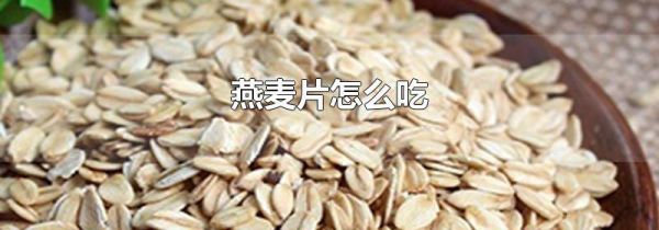 燕麦片怎么吃