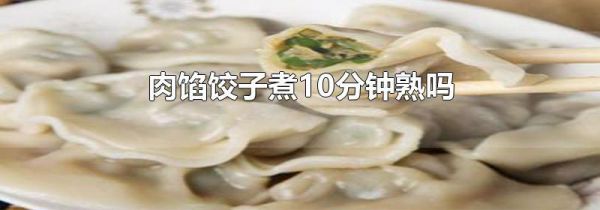 肉馅饺子煮10分钟熟吗