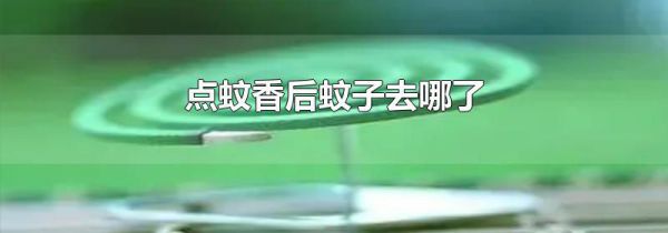 点蚊香后蚊子去哪了