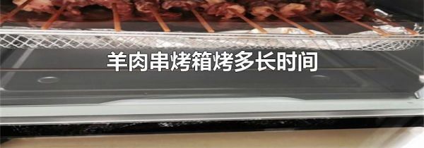 羊肉串烤箱烤多长时间