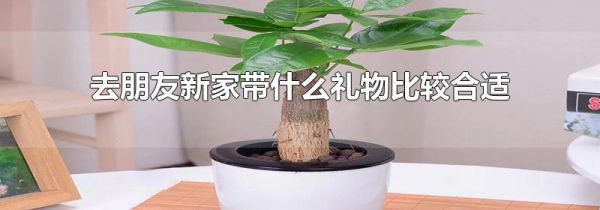 去朋友新家带什么礼物比较合适