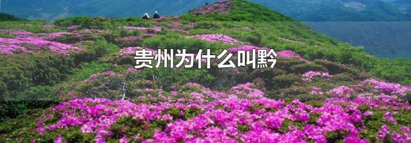 贵州为什么叫黔