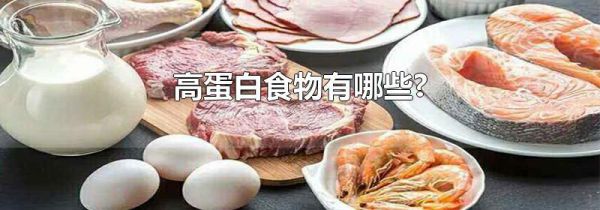 高蛋白食物有哪些?
