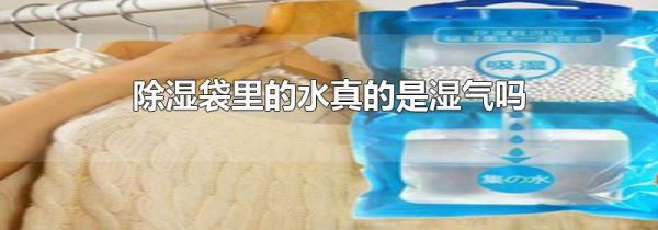 除湿袋里的水真的是湿气吗