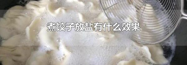 煮饺子放盐有什么效果