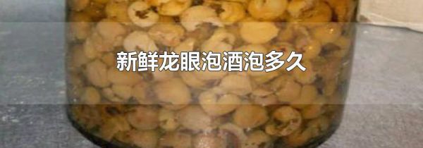 新鲜龙眼泡酒泡多久
