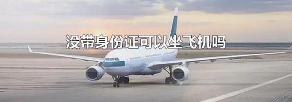 没带身份证可以坐飞机吗