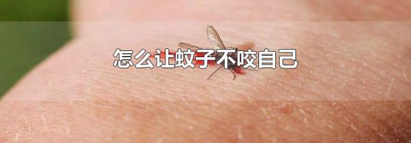怎么让蚊子不咬自己