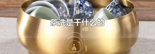 茶洗是干什么的