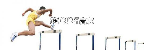 跨栏栏杆高度