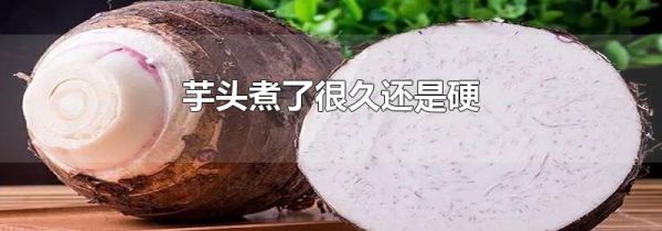 芋头煮了很久还是硬