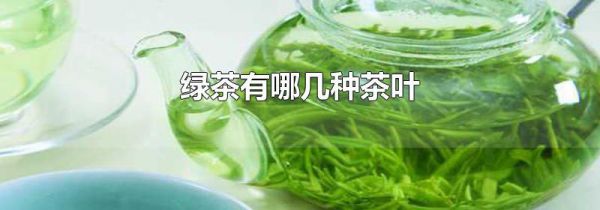 绿茶有哪几种茶叶