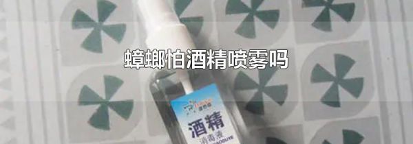 蟑螂怕酒精喷雾吗