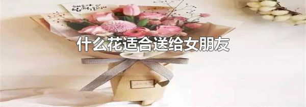 什么花适合送给女朋友