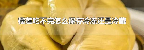 榴莲吃不完怎么保存冷冻还是冷藏