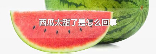 西瓜太甜了是怎么回事