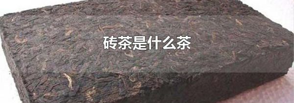 砖茶是什么茶