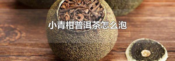 小青柑普洱茶怎么泡