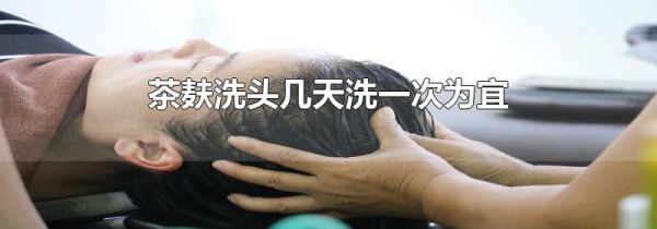 茶麸洗头几天洗一次为宜