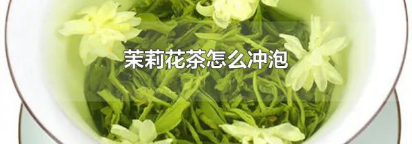 茉莉花茶怎么冲泡