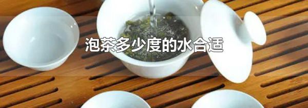 泡茶多少度的水合适