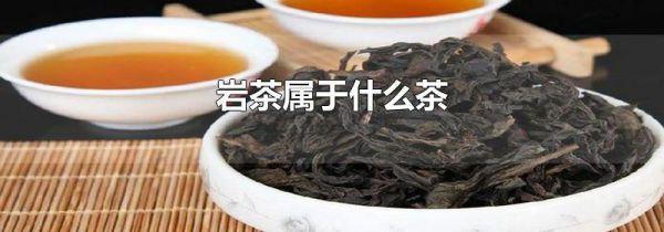 岩茶属于什么茶