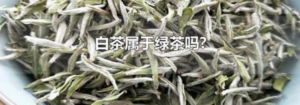 白茶属于绿茶吗?