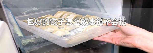 包好的饺子怎么放冰箱不会粘