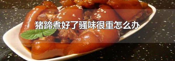 猪蹄煮好了骚味很重怎么办