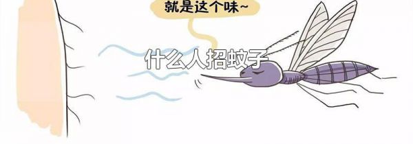 什么人招蚊子