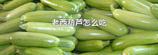 老西葫芦怎么吃