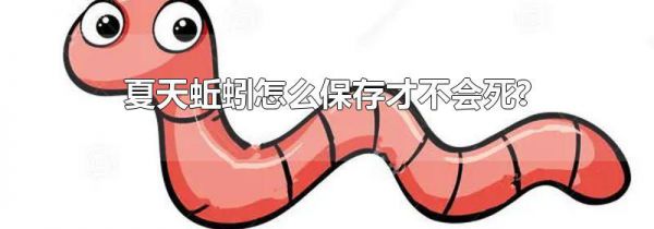 夏天蚯蚓怎么保存才不会死?