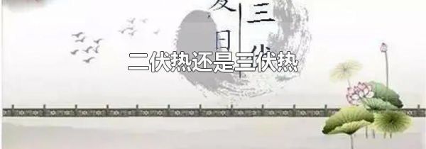 二伏热还是三伏热
