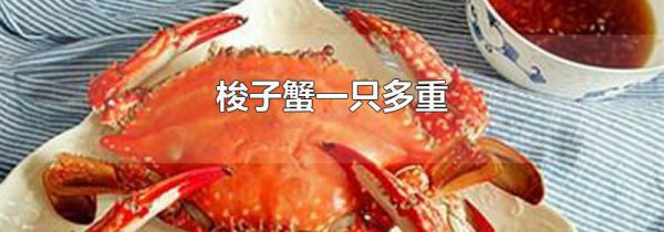 梭子蟹一只多重