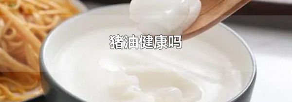 猪油健康吗