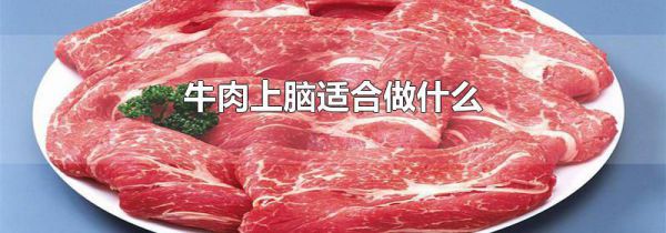 牛肉上脑适合做什么