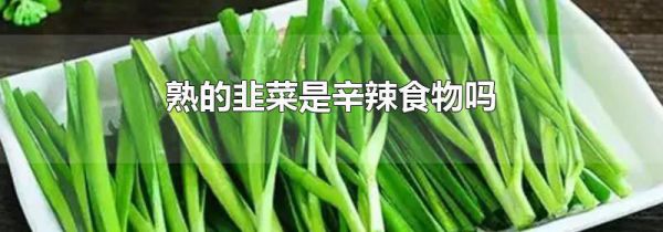 熟的韭菜是辛辣食物吗