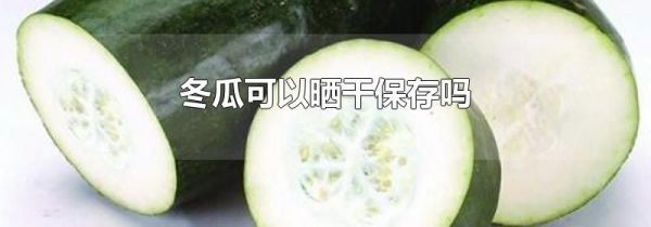冬瓜可以晒干保存吗
