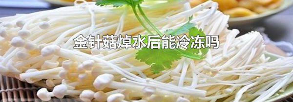 金针菇焯水后能冷冻吗
