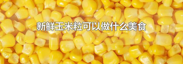 新鲜玉米粒可以做什么美食