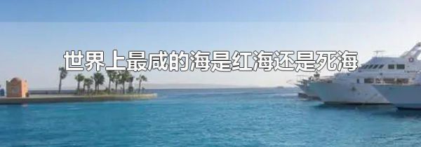 世界上最咸的海是红海还是死海