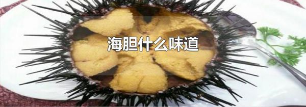 海胆什么味道
