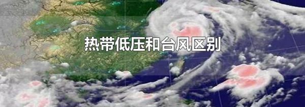 热带低压和台风区别