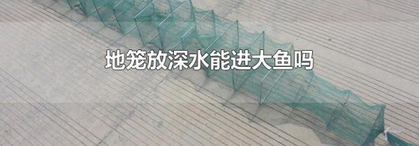 地笼放深水能进大鱼吗