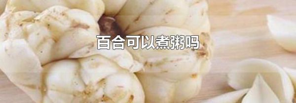 百合可以煮粥吗