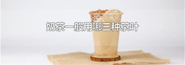 奶茶一般用哪三种茶叶