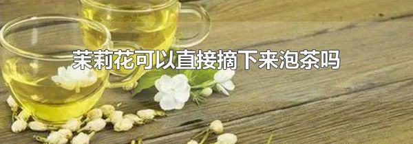 茉莉花可以直接摘下来泡茶吗