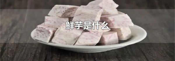 鲜芋是什么